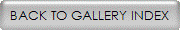 BACK TO GALLERY INDEX